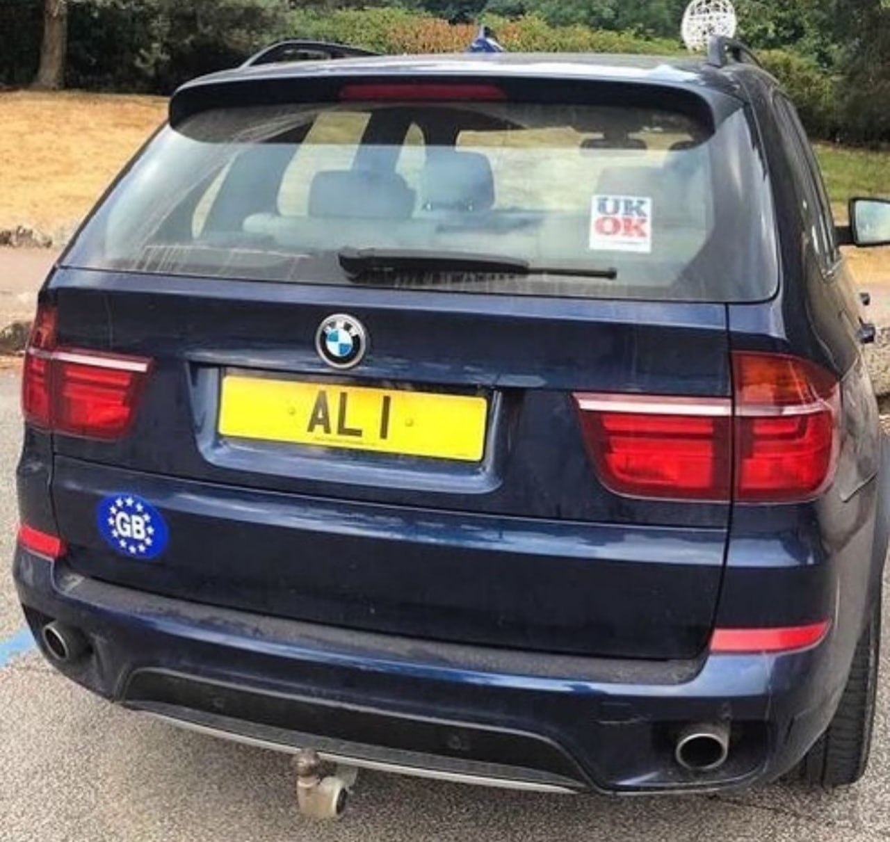 Registration plate ALI - AL 1