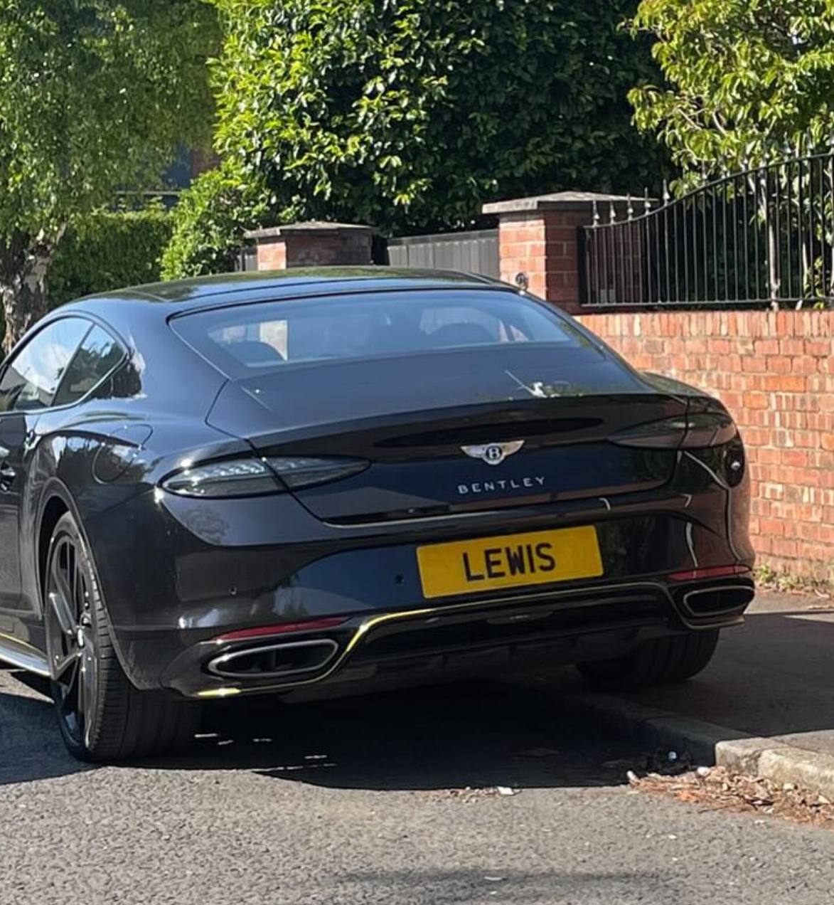 Registration plate LEWIS - LEW 1S