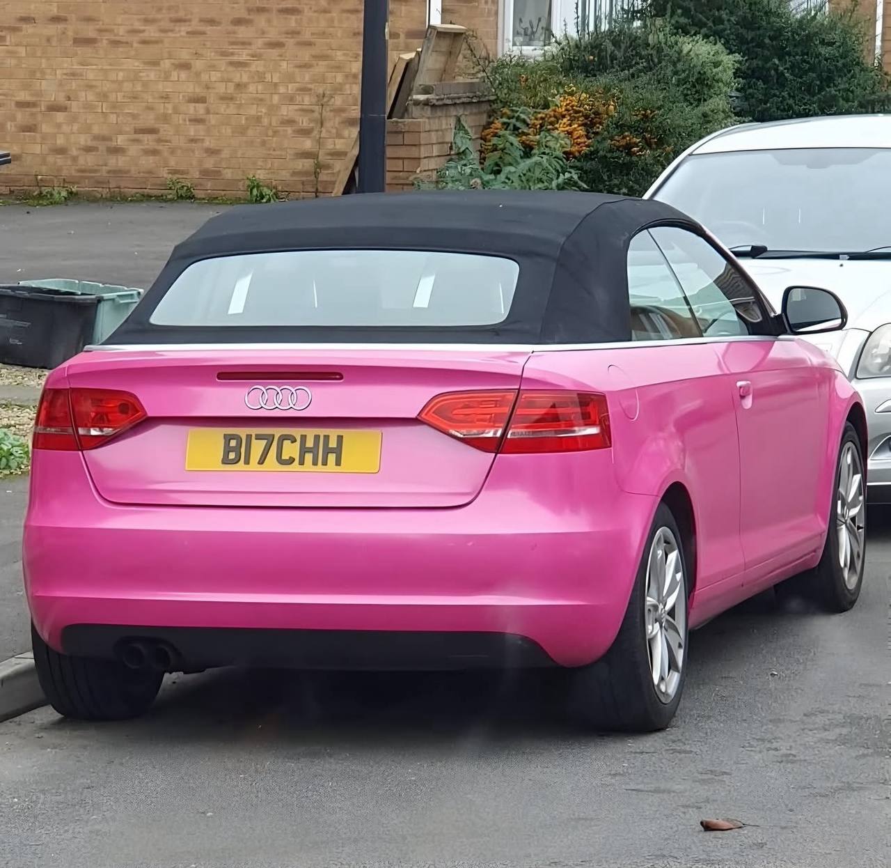 Registration plate BITCH - B17 CHH