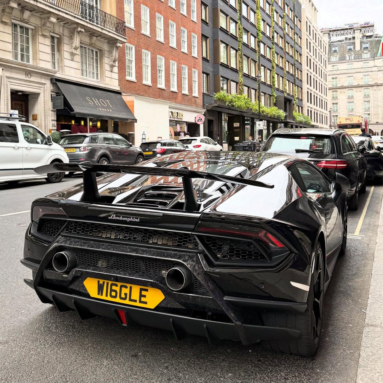 Registration plate WIGGLE - W16 GLE