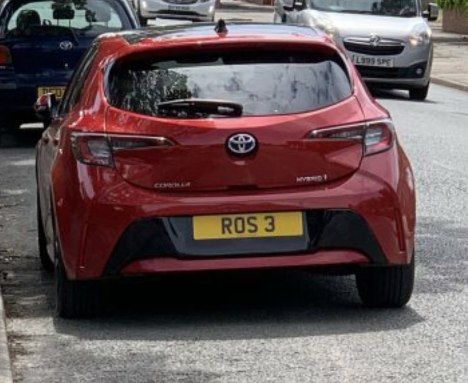 Registration plate ROSE - ROS 3