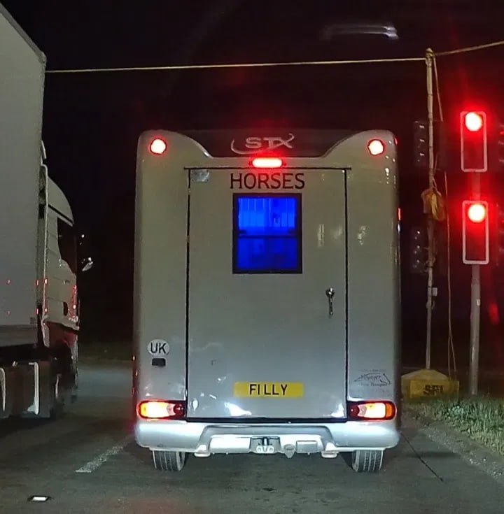 Registration plate FILLY - F1 LLY