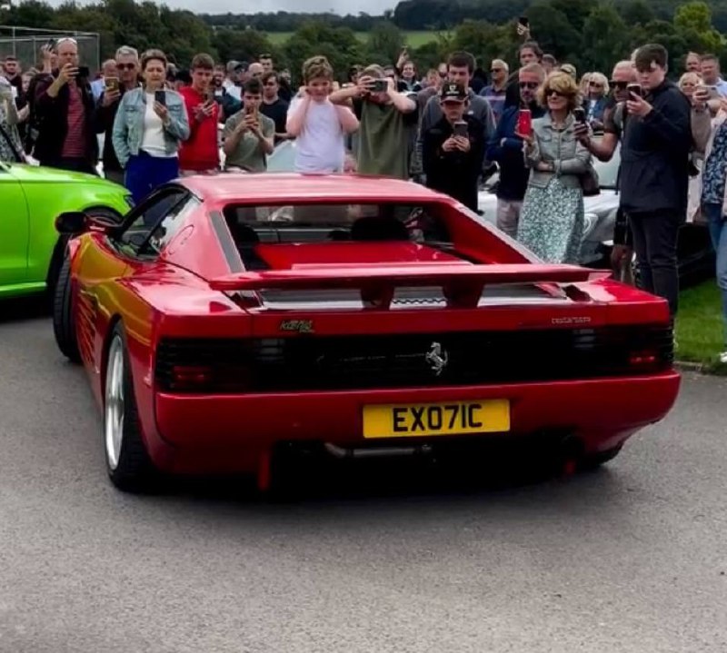 Registration plate EXOTIC - EXO 71C