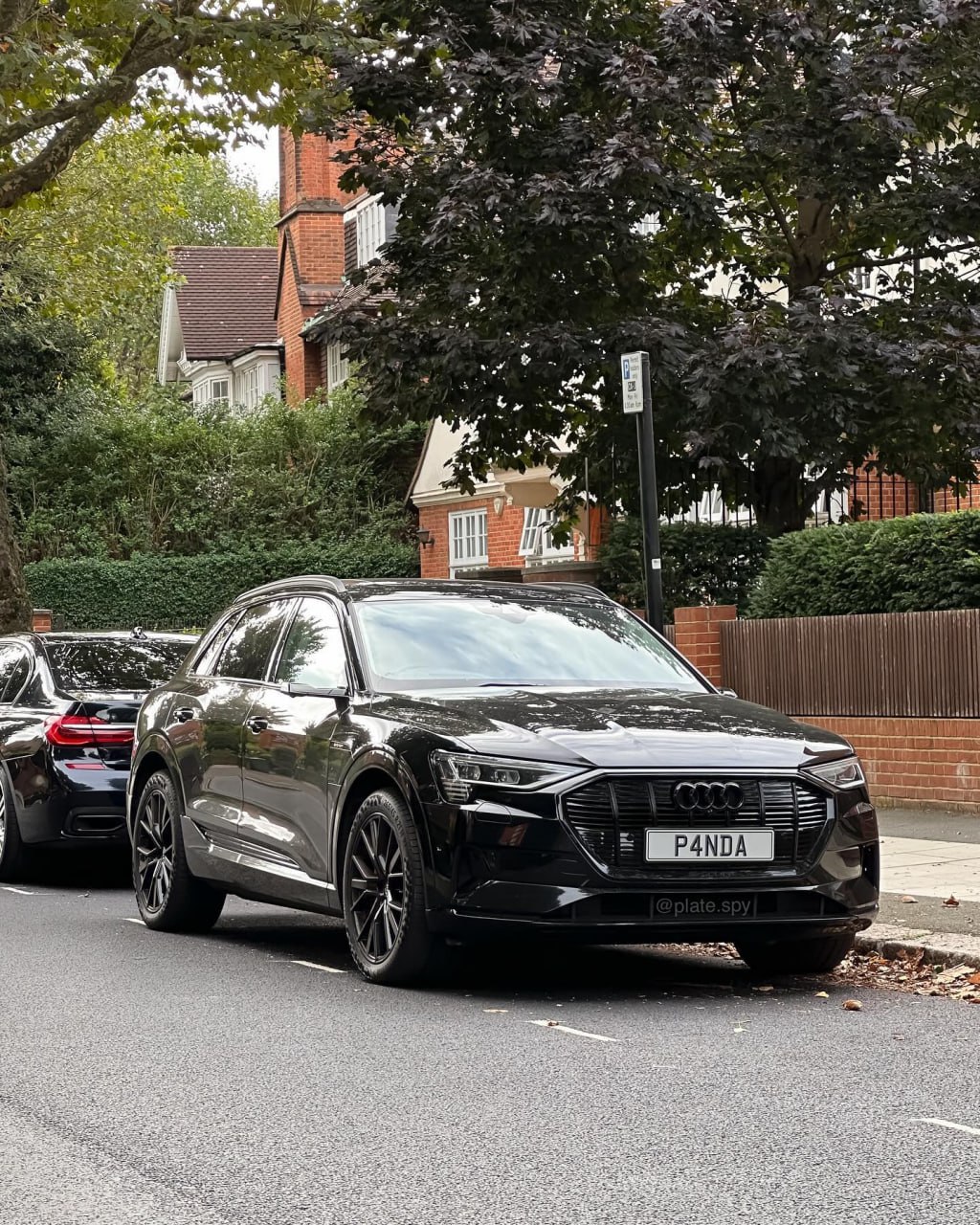 Registration plate PANDA - P4 NDA