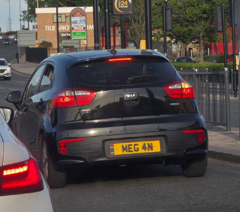 Registration plate MEGAN - MEG 4N