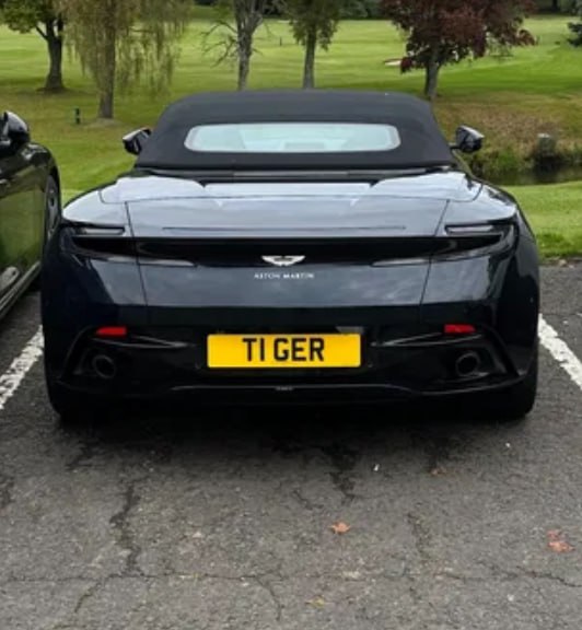 Registration plate TIGER - T1 GER