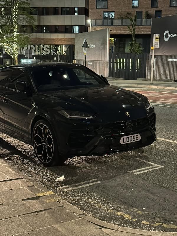 Registration plate LOOSE - LOO 5E