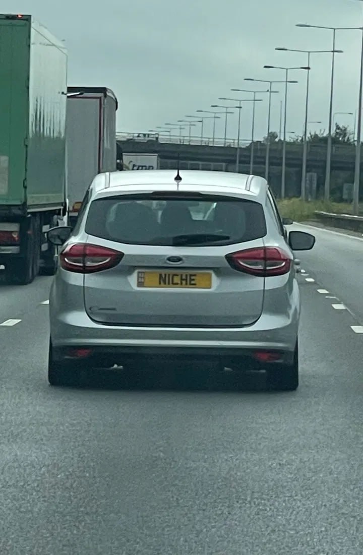 Registration plate NICHE - N1 CHE