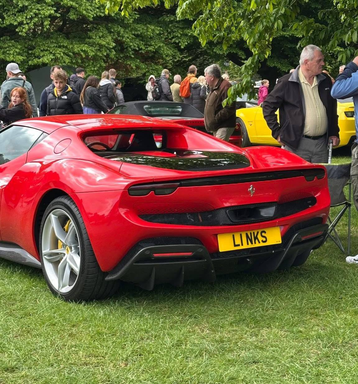Registration plate LINKS - L1 NKS