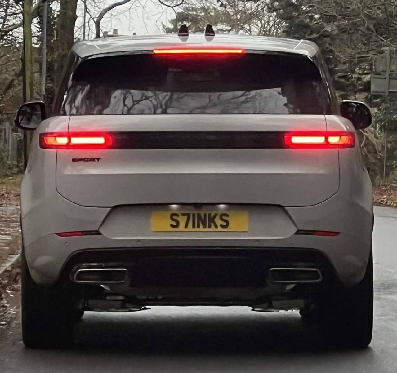 Registration plate STINKS - S71 NKS