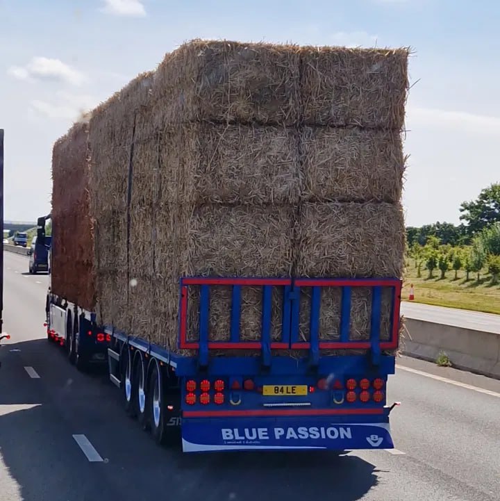 Registration plate BALE - 84 LE