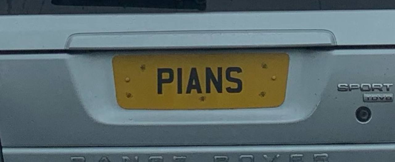Registration plate PLANS - P1 ANS