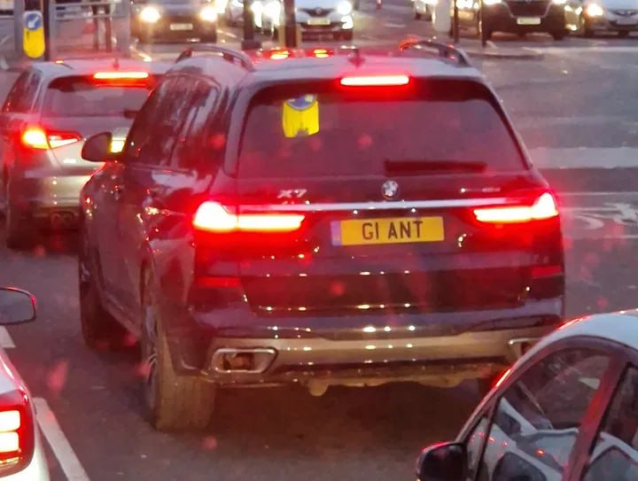 Registration plate GIANT - G1 ANT