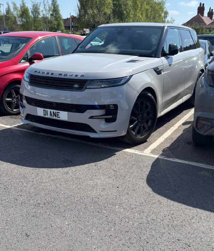 Registration plate DIANE - D1 ANE